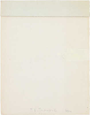 Тимофеева Татьяна Алексеевна. Георгины, циния, золотой шар